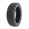 rueda 10x2,5-6,5 todoterreno tubeless