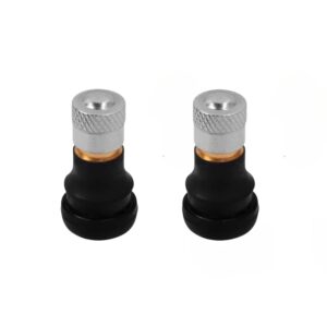 Válvula Recta Tubeless PVR 40 (1 unidad)